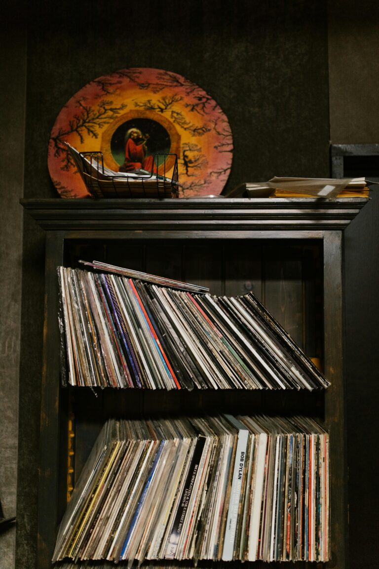 vinyl records in two-floor bookcase on display